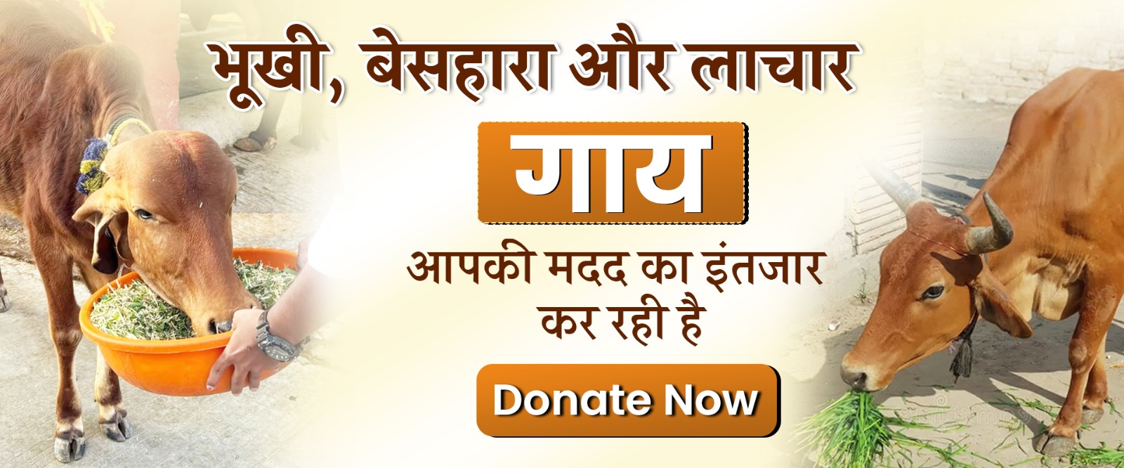 WhatsApp Image 2026-04-06 at 11.03.51 AM